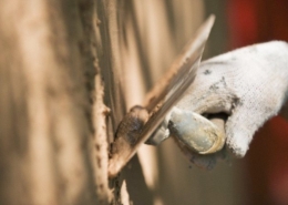 concrete_03